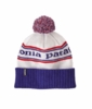 Patagonia Powder Town Beanie Park Stripe: Viking Blue