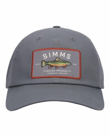 Simms Single Haul Cap Gunmetal Trout