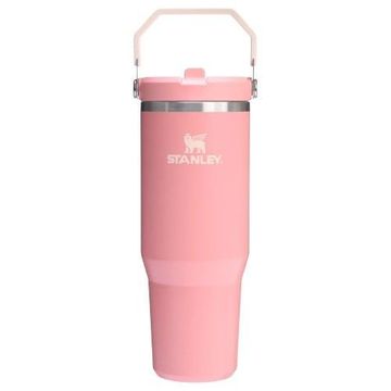 Stanley The IceFlow Flip Straw Tumbler 30 OZ Pink Mesa