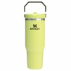 Stanley The IceFlow Flip Straw Tumbler 30 OZ Prickly Pear