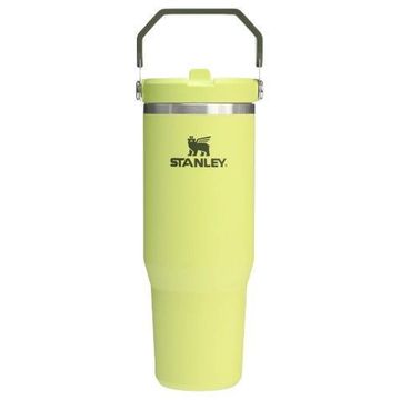 Stanley The IceFlow Flip Straw Tumbler 30 OZ Prickly Pear
