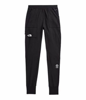 The North Face Womens Summit FutureFleece Pant Black Regular Inseam