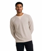 Toad&Co Mens Framer II LS Crew Heather Grey Stripe