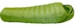 Western Mountaineering Puma StormShield 6'0" Left Zip Lime Black