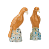 Chelsea House Birds of Prey (Pr) C11055