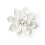Chelsea House Magnolia Wall Flower 385131