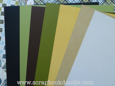 Bazzill & Echo Park Paper Cardstock