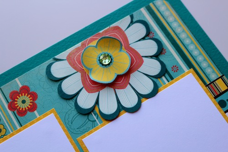 close up photo