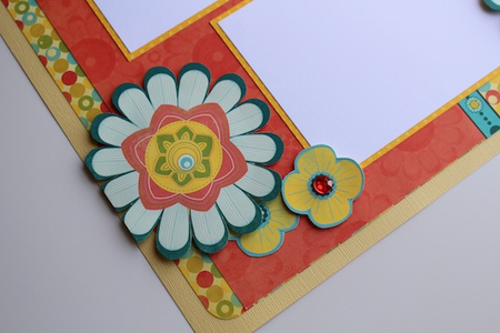 close up photo