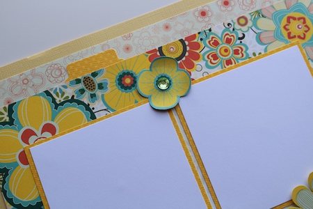 close up photo