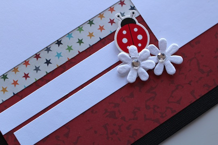 close up photo