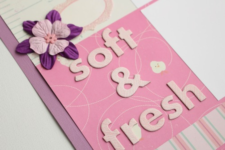 close up photo