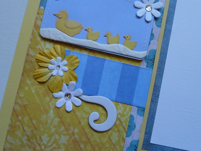 close up photo