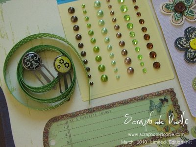 Ribbons, Clips, Bling