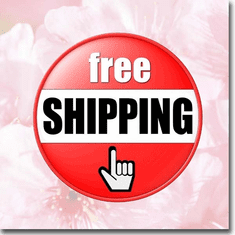 Free Shipping
