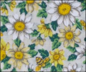 Daisies and Bees - 127