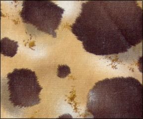 Leopard Spots - 130