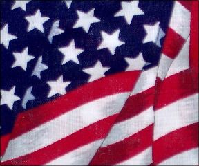Stars and Stripes - 110