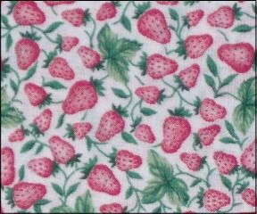 Strawberries on White - 111