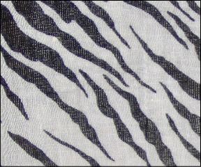 Zebra - 136
