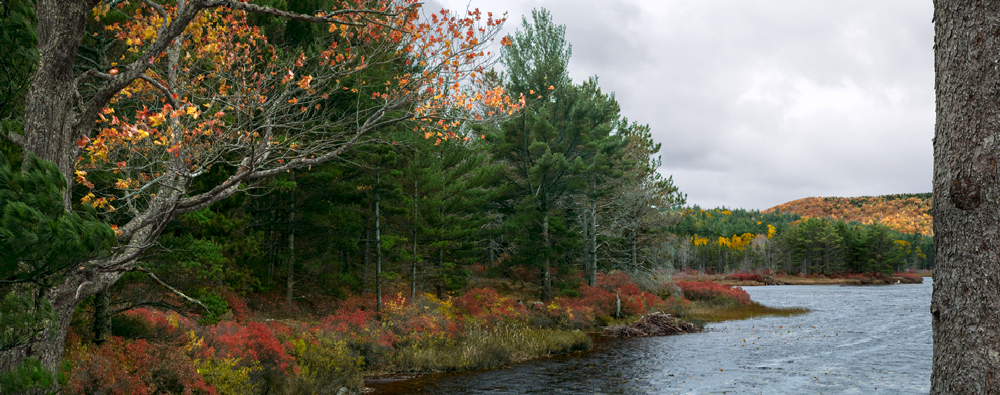 Autumn Autumn
