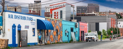 Bayside Bow Bayside Bow