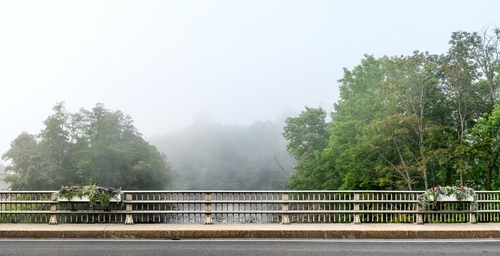 Bridge View