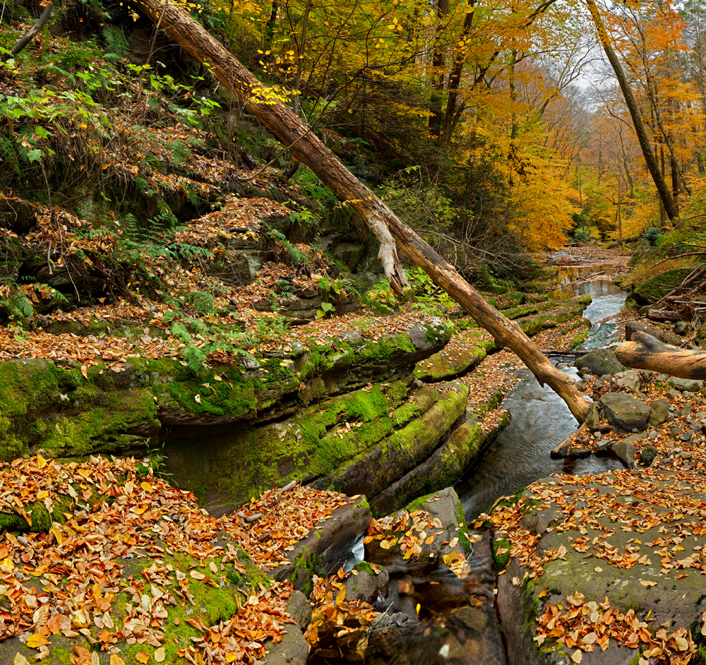 Downstream Downstream