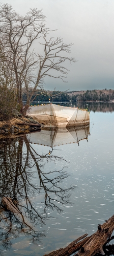 Elver Weir