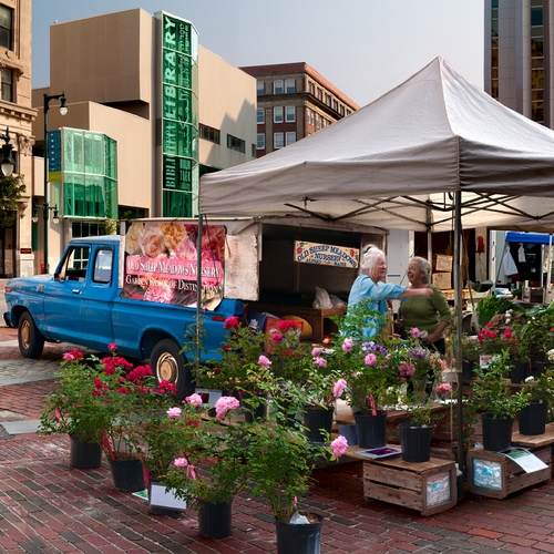 Farmer's Market