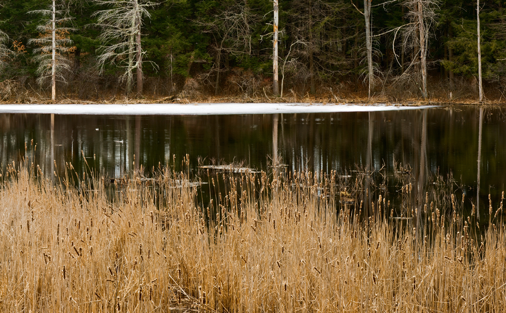 Horizontal Horizontal