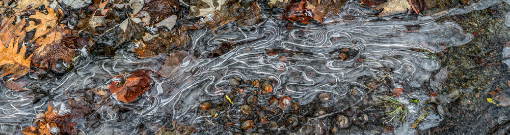 Ice Puddle Ice Puddle