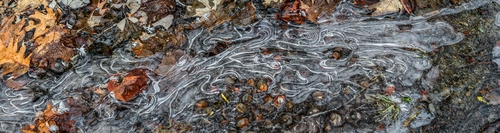 Ice Puddle