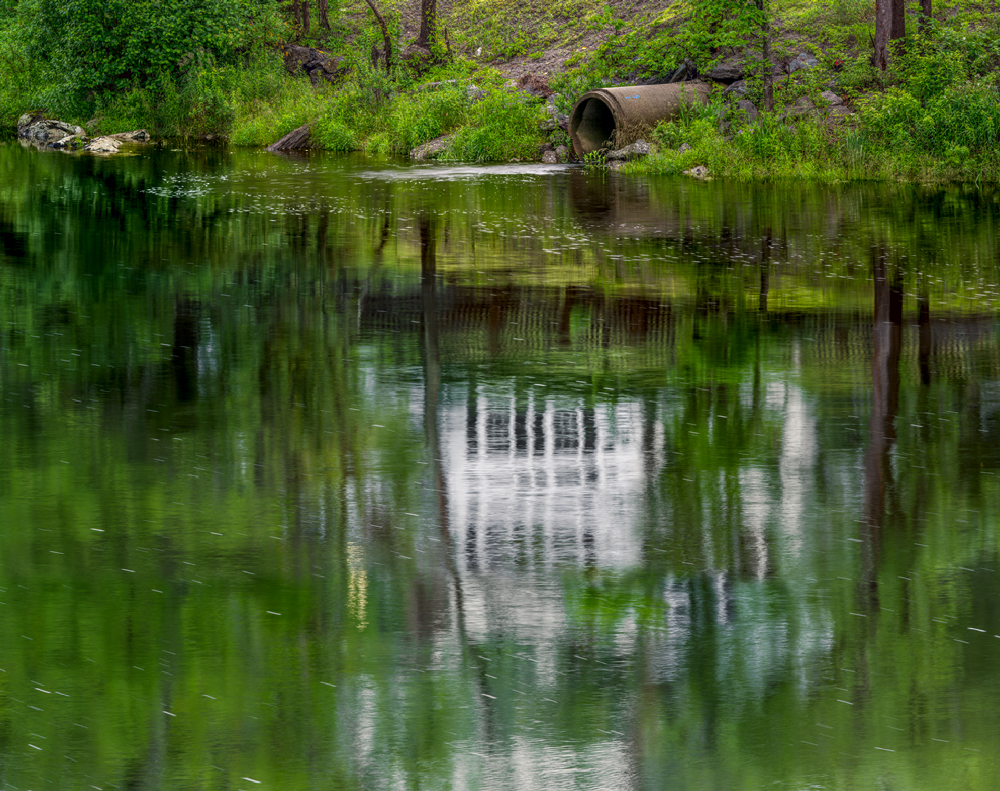 Library Reflection Library Reflection