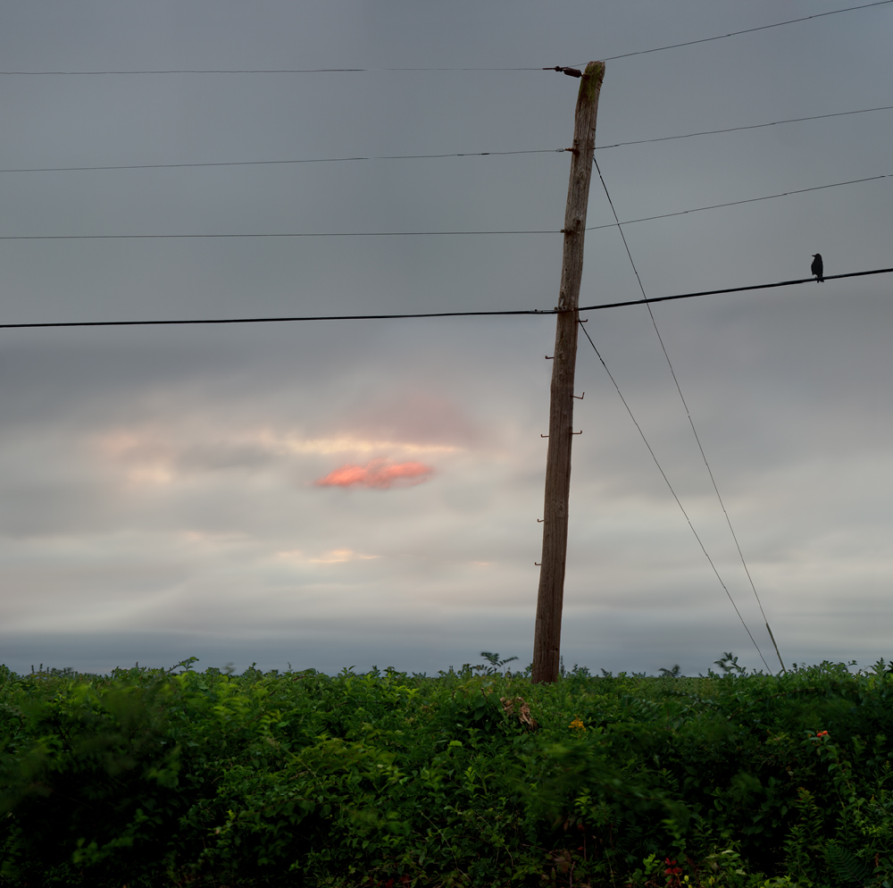 Lost Cloud Lost Cloud