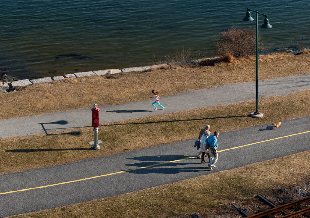 March Afternoon Shadows