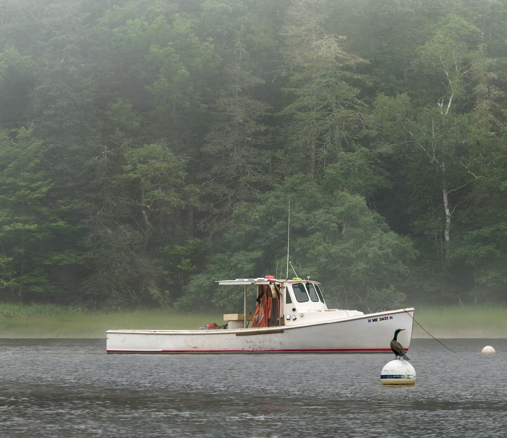 The <i>Ifs & Buts<i/>