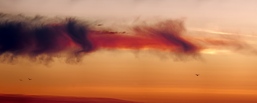 Morning Cloud Morning Cloud