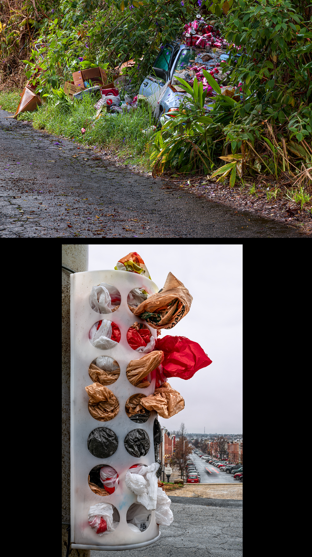 Morning GloriesDog Bags