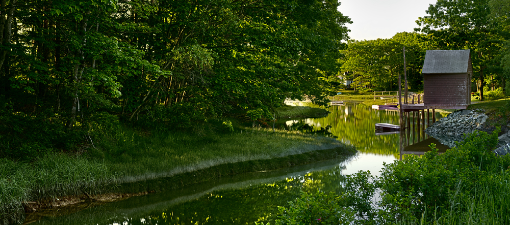 Paddy Creek Paddy Creek