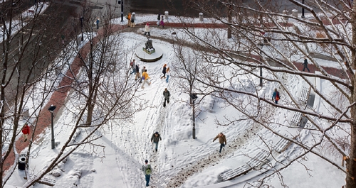 Pathways