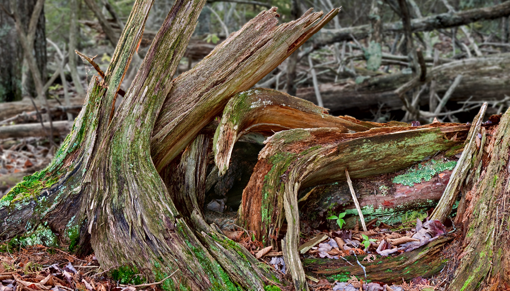 Redemption Redemption