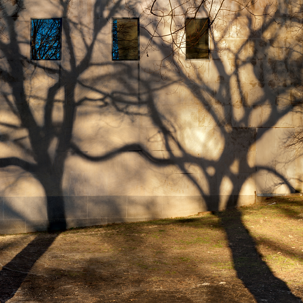 Shadow Dance Shadow Dance