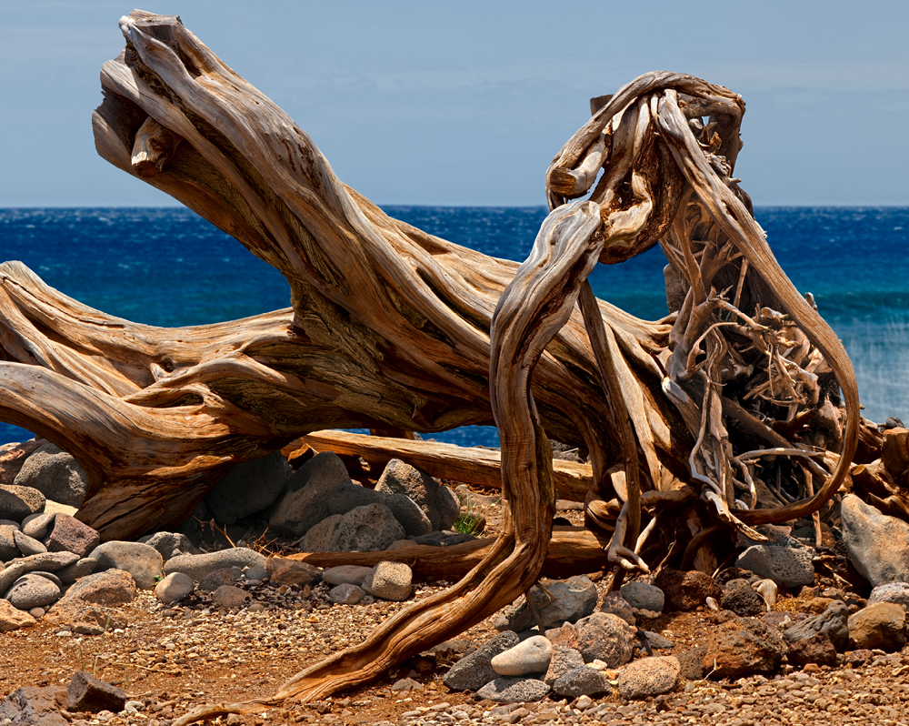 Shorelines Shorelines