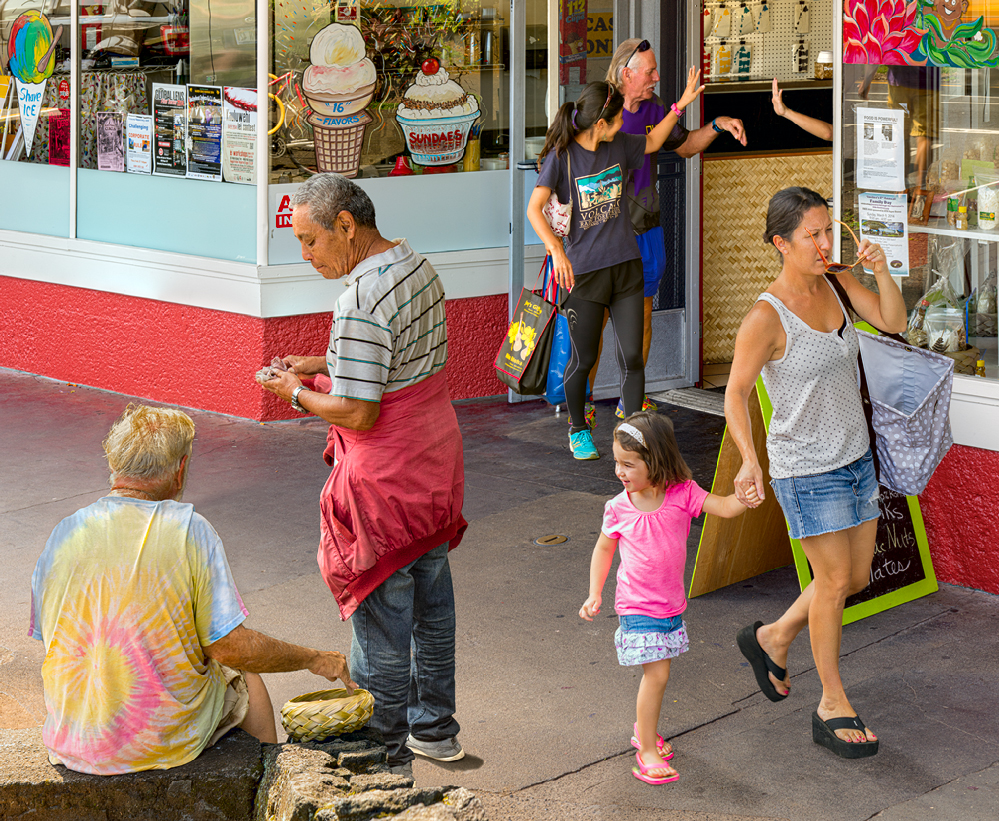 The Basket The Basket