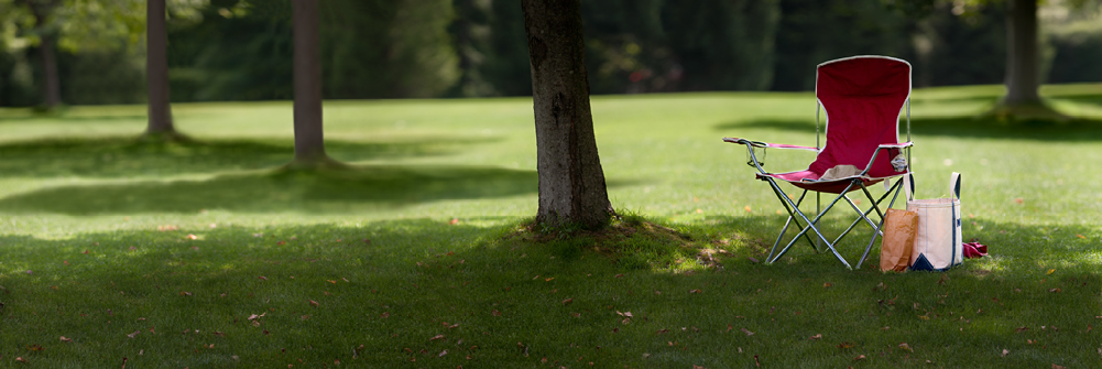 Tanglewood Chair Tanglewood Chair