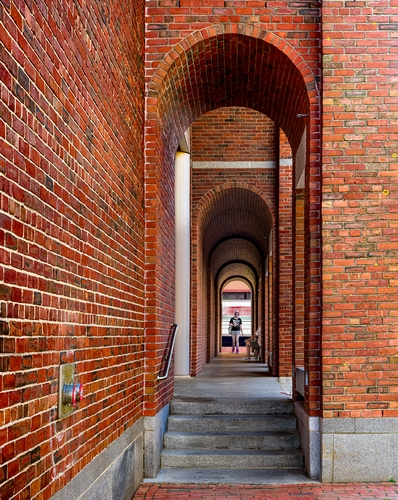 The Art Museum
