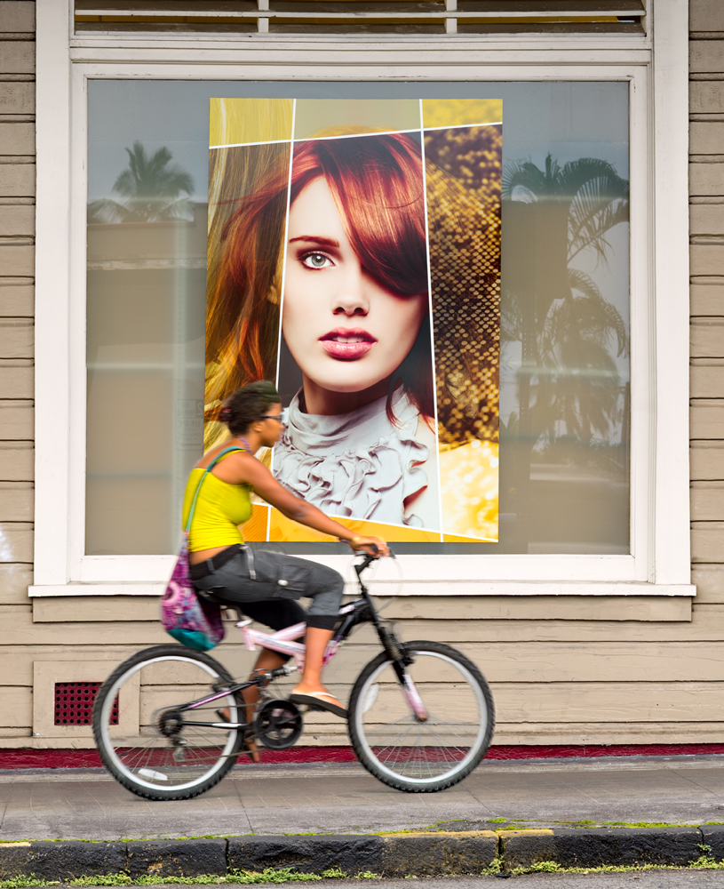 The Bicycle Rider The Bicycle Rider