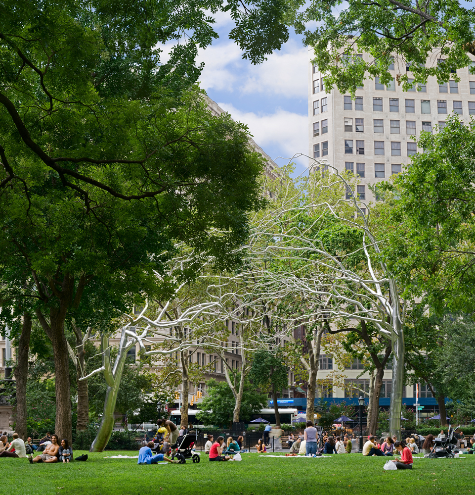 Under The Trees Under The Trees