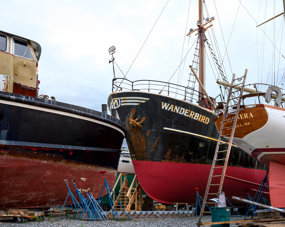 Wanderbird Wanderbird